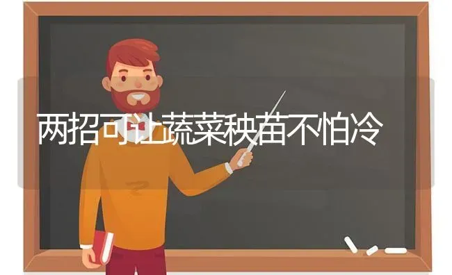 两招可让蔬菜秧苗不怕冷 | 蔬菜种植