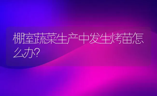 棚室蔬菜生产中发生烤苗怎么办？ | 蔬菜种植