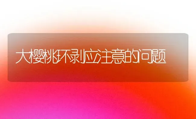 大樱桃环剥应注意的问题 | 瓜果种植