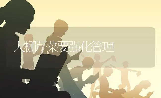 大棚芹菜要强化管理 | 蔬菜种植