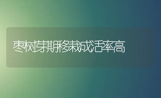 枣树芽期移栽成活率高 | 瓜果种植