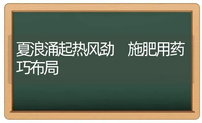 夏浪涌起热风劲 施肥用药巧布局 | 种植肥料施肥
