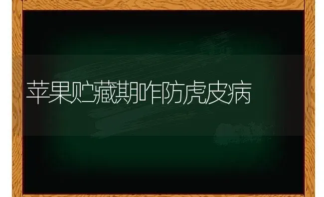 苹果贮藏期咋防虎皮病 | 瓜果种植