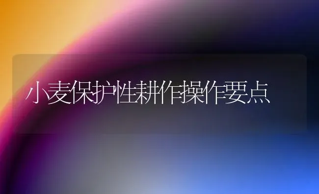 小麦保护性耕作操作要点 | 粮油作物种植