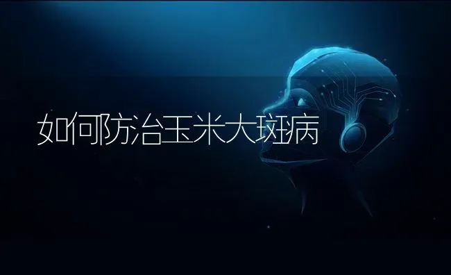 大棚黄瓜落蔓要注重细节 | 蔬菜种植