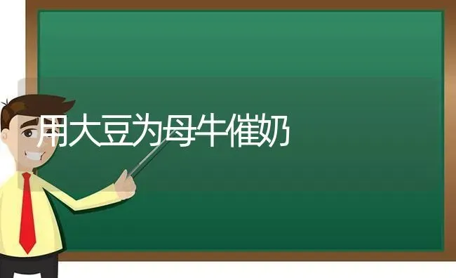 用大豆为母牛催奶 | 粮油作物种植