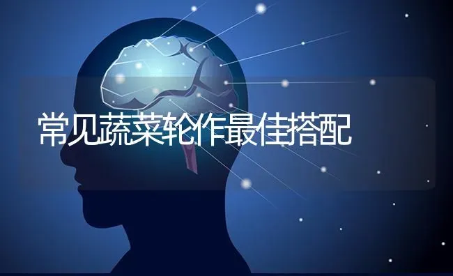 樱桃西红柿如何施肥 | 种植肥料施肥