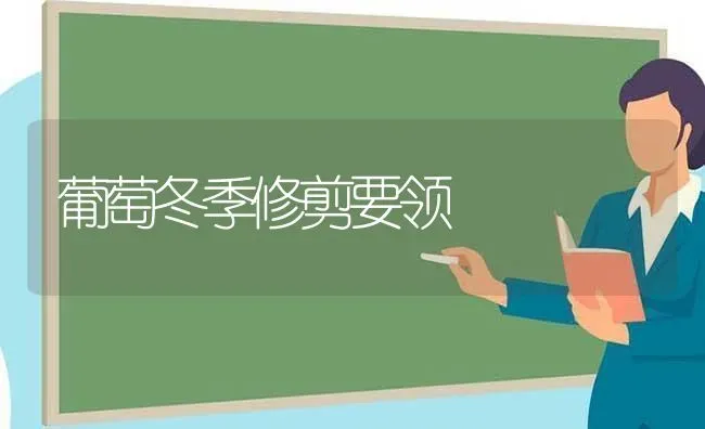 葡萄冬季修剪要领 | 瓜果种植