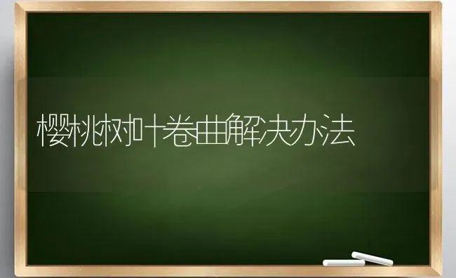 樱桃树叶卷曲解决办法 | 瓜果种植