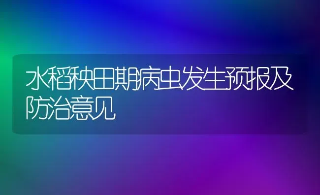 水稻秧田期病虫发生预报及防治意见 | 粮油作物种植