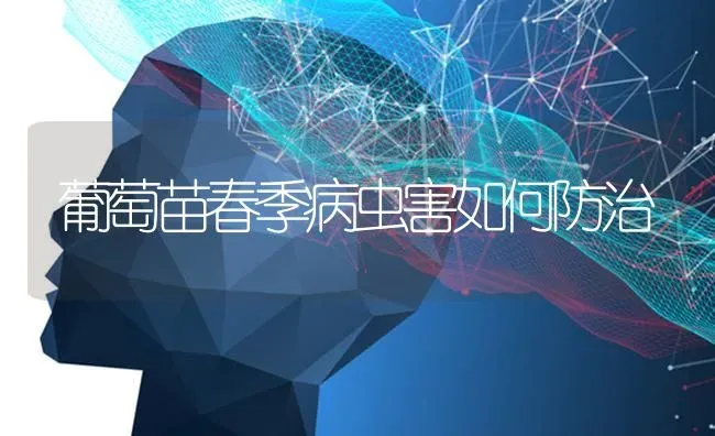 葡萄苗春季病虫害如何防治 | 种植病虫害防治