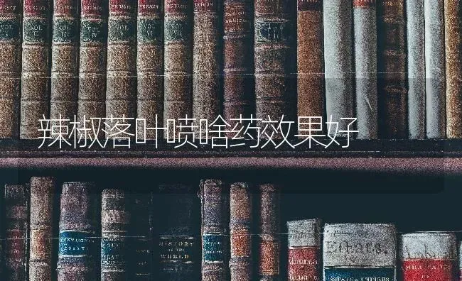 辣椒落叶喷啥药效果好 | 瓜果种植