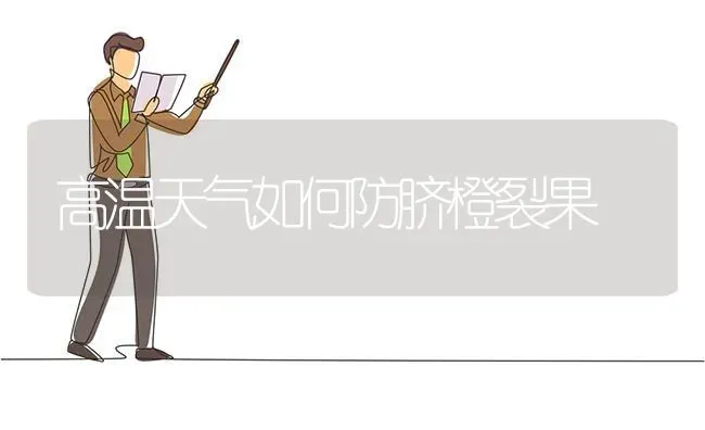 高温天气如何防脐橙裂果 | 瓜果种植