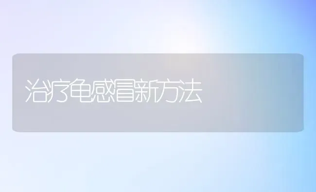 怎样种好冬菠菜 | 蔬菜种植