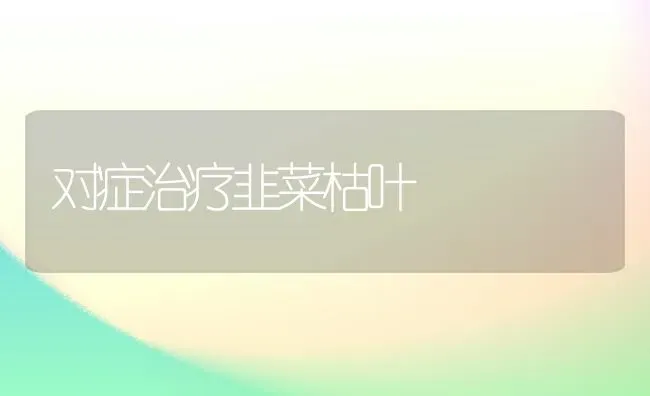 对症治疗韭菜枯叶 | 蔬菜种植