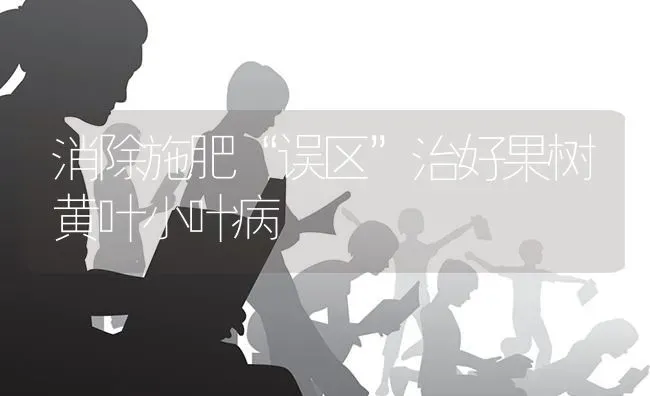 消除施肥“误区”治好果树黄叶小叶病 | 瓜果种植