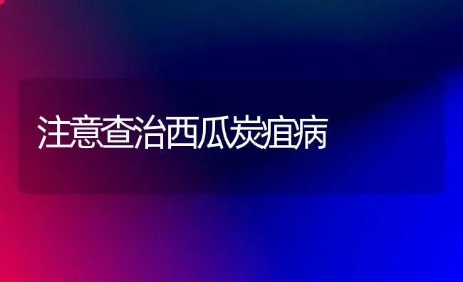 注意查治西瓜炭疽病 | 瓜果种植