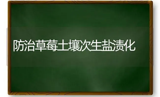 防治草莓土壤次生盐渍化 | 瓜果种植