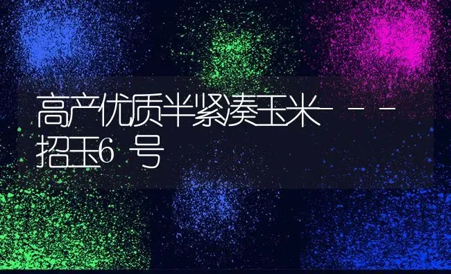 苹果桃子梨管理“大文章” | 瓜果种植