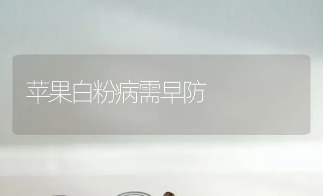 苹果白粉病需早防 | 瓜果种植
