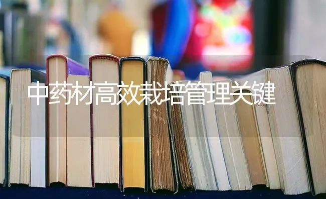 中药材高效栽培管理关键 | 药材种植