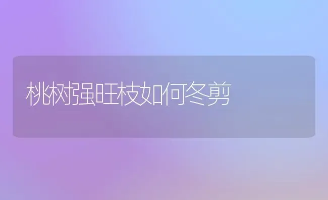 桃树强旺枝如何冬剪 | 瓜果种植