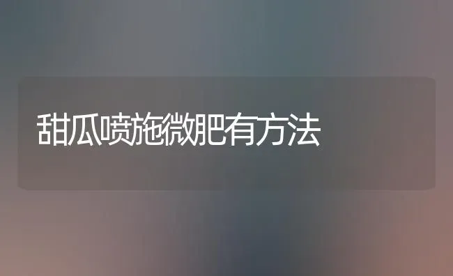 甜瓜喷施微肥有方法 | 瓜果种植
