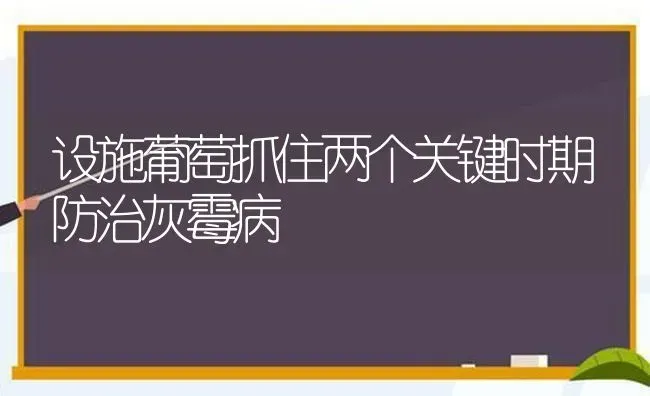 设施葡萄抓住两个关键时期防治灰霉病 | 瓜果种植