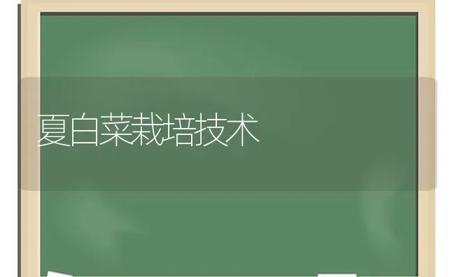 夏白菜栽培技术 | 蔬菜种植