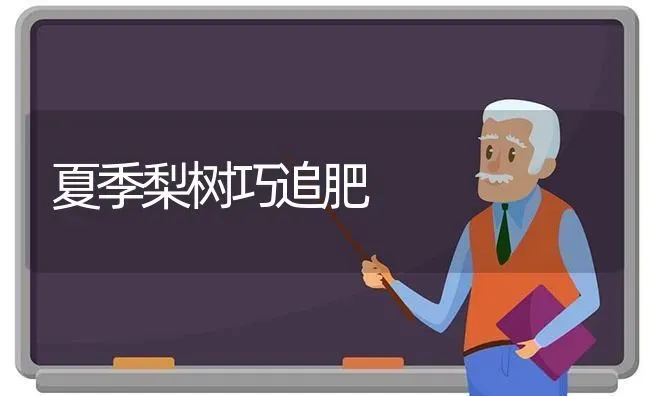 夏季梨树巧追肥 | 瓜果种植