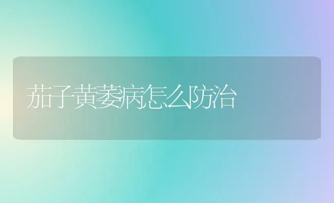 茄子黄萎病怎么防治 | 蔬菜种植