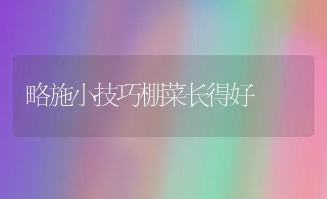 略施小技巧棚菜长得好 | 蔬菜种植
