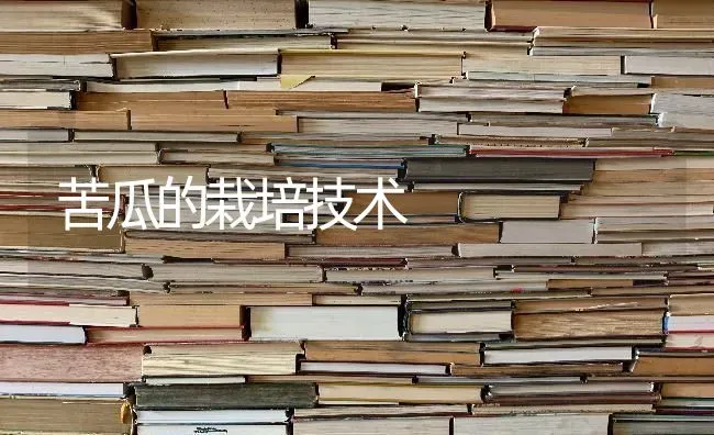 苦瓜的栽培技术 | 蔬菜种植