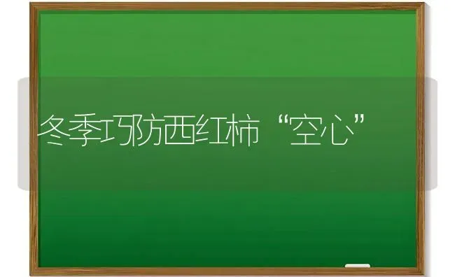 冬季巧防西红柿“空心” | 蔬菜种植