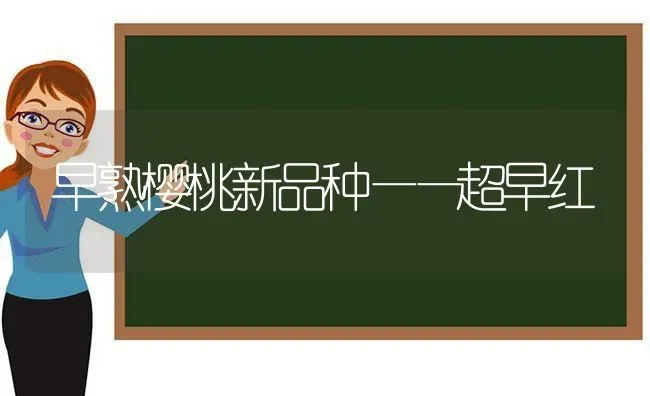 早熟樱桃新品种——超早红 | 瓜果种植