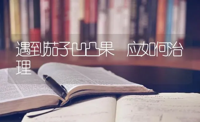 梨园套种平菇 | 食用菌种植