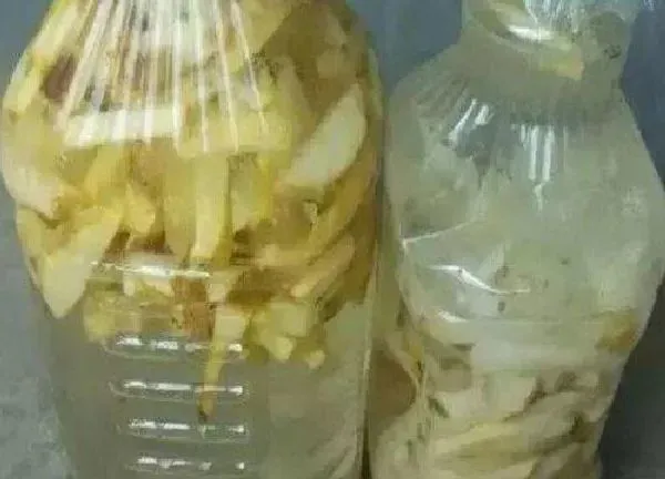 植物浇水|果皮水适合浇什么花