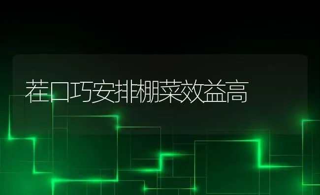 茬口巧安排棚菜效益高 | 蔬菜种植