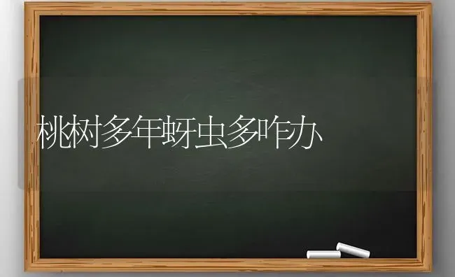 桃树多年蚜虫多咋办 | 瓜果种植