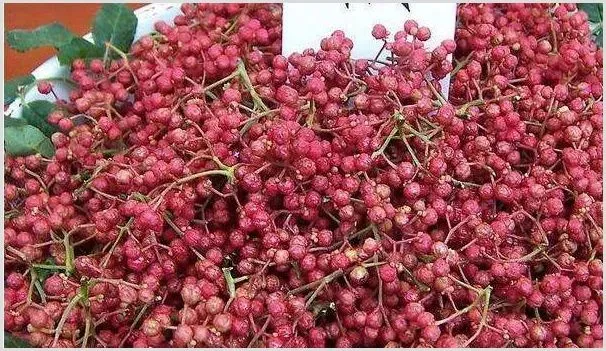 花椒树越冬管理技巧 | 耕种资料