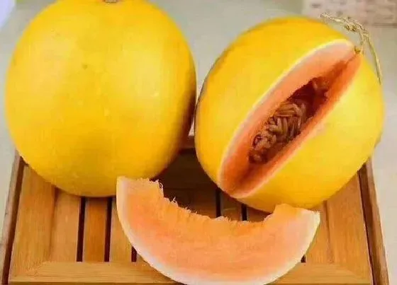 食用技巧|黄香瓜怎么挑选好吃的