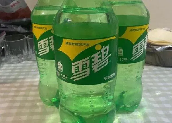 植物浇水|雪碧能浇花吗
