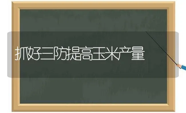 抓好三防提高玉米产量 | 粮油作物种植