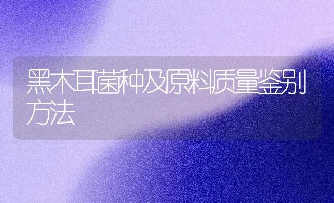 黑木耳菌种及原料质量鉴别方法 | 食用菌种植