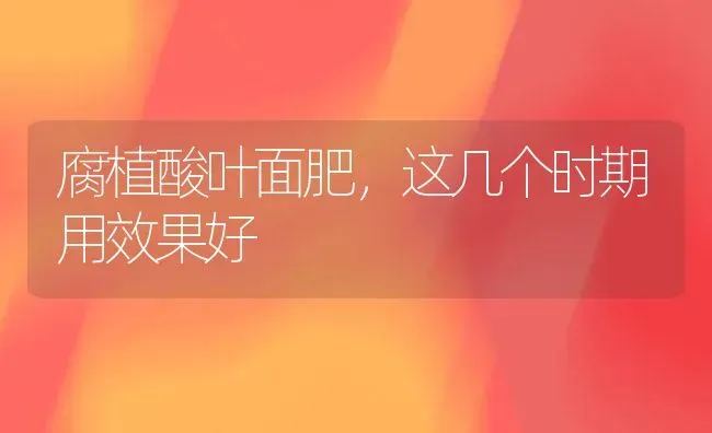 腐植酸叶面肥,这几个时期用效果好 | 瓜果种植