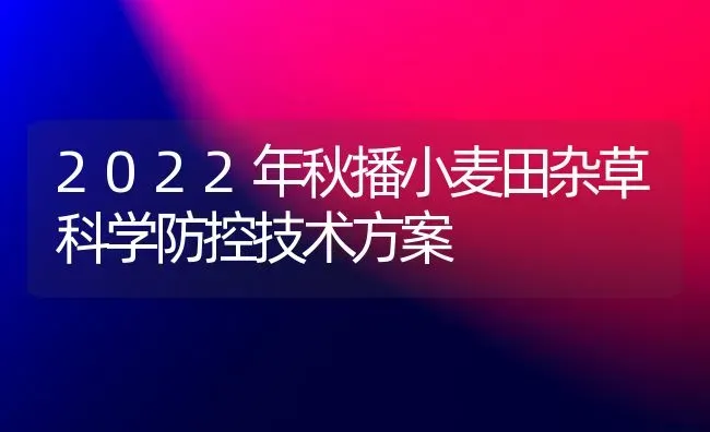 2022年秋播小麦田杂草科学防控技术方案 | 粮油作物种植