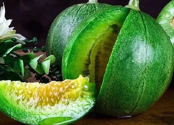 果实成熟|甜瓜成熟的季节是几月