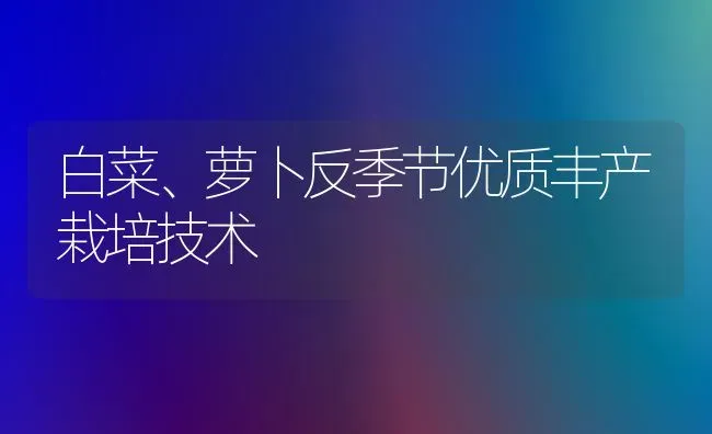 白菜、萝卜反季节优质丰产栽培技术 | 蔬菜种植