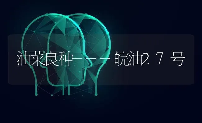 油菜良种---皖油27号 | 粮油作物种植