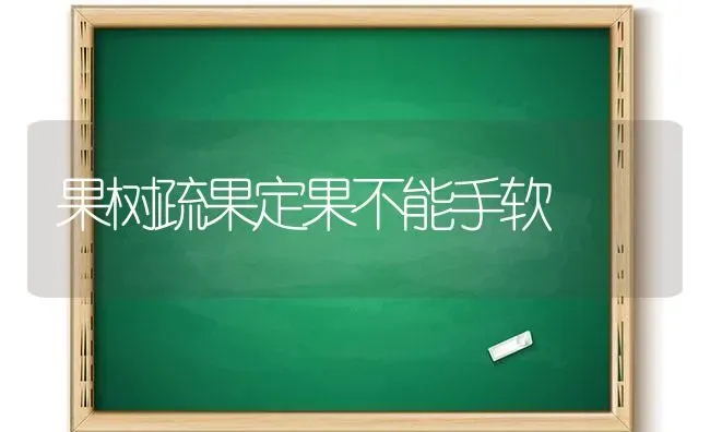 果树疏果定果不能手软 | 瓜果种植